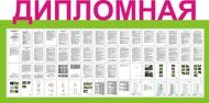 Дипломная работа РАЗРАБОТКА МЕРОПРИЯТИЙ ПО ОЗЕЛЕНЕНИЮ И БЛАГОУСТРОЙСТВУ ПРИУСАДЕБНОГО УЧАСТКА В ГОРОДЕ СЛАВЯНСКЕ-НА-КУБАНИ КРАСНОДАРСКОГО КРАЯ